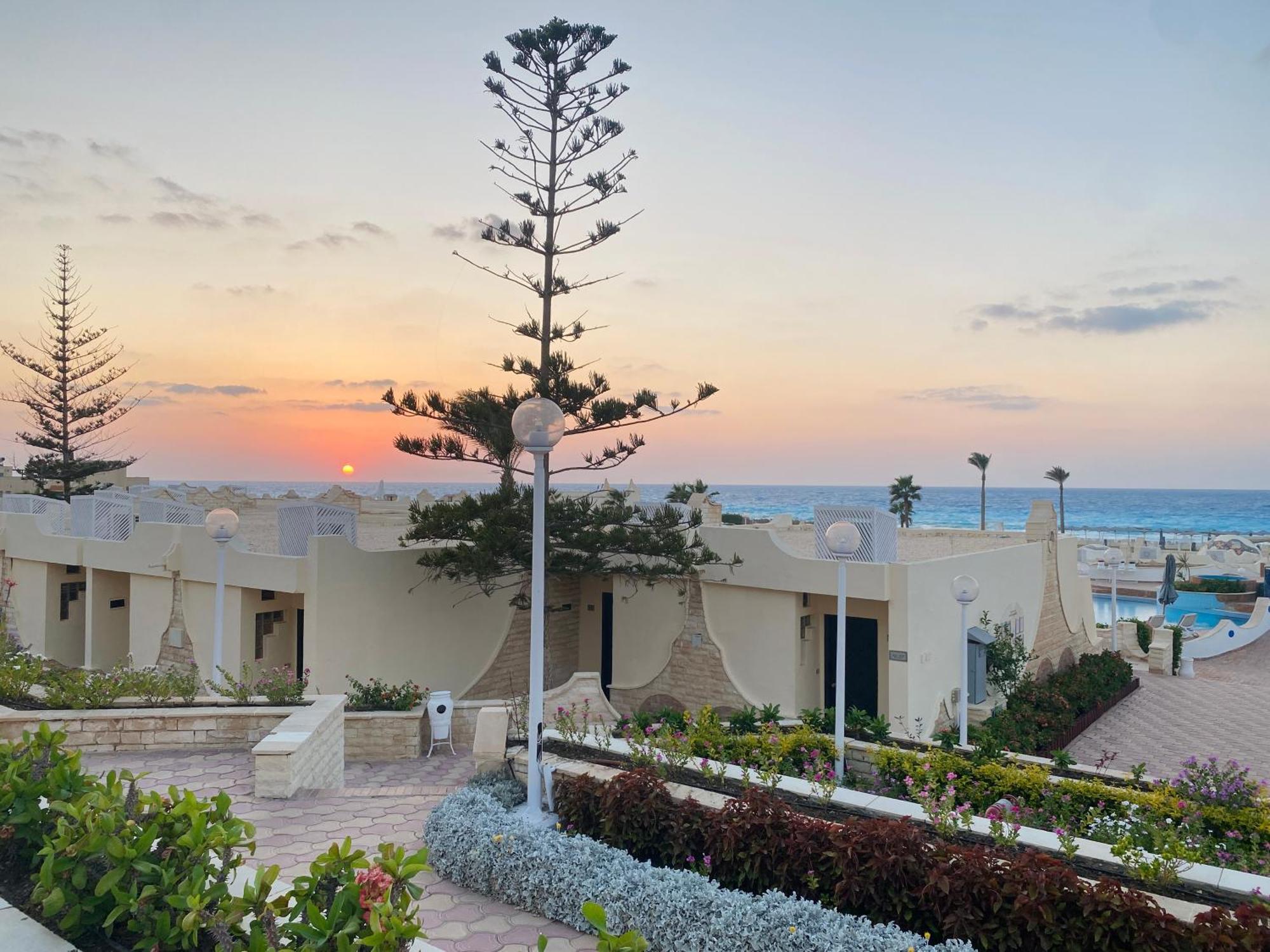 보그 엘 아랍 비치 호텔 보르그 엘 아랍 외부 사진 Sunset at the hotel